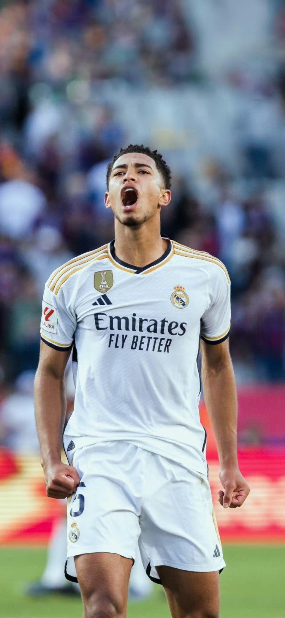 门票收入情 门票收入情